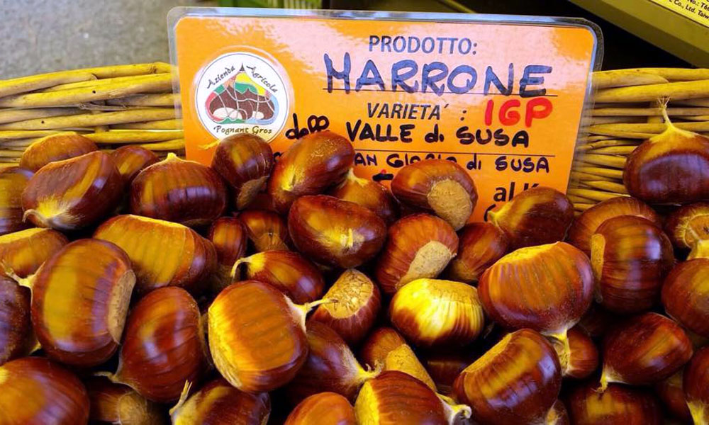 Marroni Pognant Gros